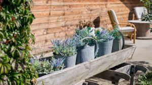 23-10-07 MARIAGE Jessy Thomas-ThomasBLPhoto-001_sur_511